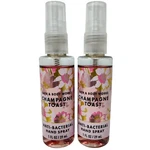 All New 2-pack Champagne Toast Anti-bacterial Hand Spray 1 Oz Bath & Body Works. Fixed Price $13.97.