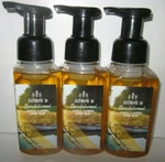 3 Bottles Bath & Body Works Hand Soap Gentle Foaming Citrus Sandalwood. Fixed Price $56.99.