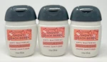3 Bath & Body Works Snowy Peach Berry Pocketbac Moisturizing Hand Gel Sanitizer. Fixed Price $9.99.