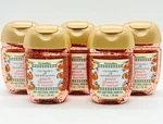 5 Bath & Body Works Vera Bradley Peach Blossom Nectar Pocketbac Hand Gel 1 Oz. Fixed Price $13.79.