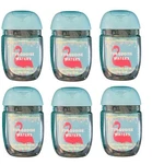 6 X Turquoise Waters Pocketbac Hand Sanitizer 1 Oz Bath & Body Works. Fixed Price $19.99.