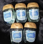 5-pack All New Fresh Rainfall Pocketbac Sanitizers 1 Oz Bath & Body Works. Fixed Price $20.95.