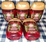 All New 5-pack Bright Christmas Morning Pocketbac Sanitizers Bath & Body Works. Fixed Price $22.00.