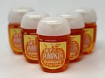 5 Bath & Body Works Hey Pumpkin Sweet Cinnamon Pocketbac Anti Bacterial Hand Gel. Fixed Price $24.99.