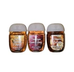 Bath & Body Works Pumpkin Cupcake Fragrance Pocketbac Hand Sanitizer Travel Fall. Fixed Price $19.99.
