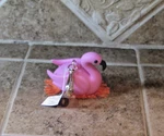 Bath & Body Works Pocketbac Holder Pink Tropical Flamingo Nwt. Fixed Price $18.95.