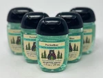 5 Bath Body Works Snowkissed Citrus Pocketbac Anti Bacterial Hand Gel Sanitizer. Fixed Price $14.99.