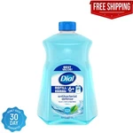 Dial Antibacterial Foaming Hand Soap Refill Spring Water 52 Fl Oz Pack Of 1. Fixed Price $11.17.