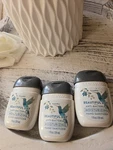 Set Of 3 Bath & Body Works Beautiful Day Pocketbac Hand Sanitizer New. Fixed Price $15.00.