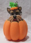 Bath & Body Works Pocketbac Pb Holder Clip-on Pop-up Schnauzer Pup Pumpkin. Fixed Price $32.80.