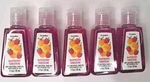 5 Pack Raspberry Tangerine Pocketbac Hand Sanitizer Bath & Body Works. Fixed Price $14.95.