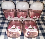 New 5-pack Strawberry Snowflakes Pocketbac Sanitizers 1 Oz Bath & Body Works. Fixed Price $22.00.