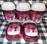 All New 5-pack Winterberry Ice Pocketbac Sanitizers 1 Oz Bath & Body Works. Fixed Price $22.00.