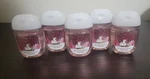 New 5-pack Strawberry Snowflakes Pocketbac Sanitizers 1 Oz Bath & Body Works. Fixed Price $20.00.