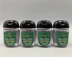 Bath & Body Works Eucalyptus Spearmint Pocketbac Hand Sanitizer S/4 #3000m1. Fixed Price $20.60.