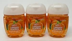 3 Bath & Body Works Sweet Cinnamon Pumpkin Pocketbac Anti Bac Hand Gel Sanitizer. Fixed Price $19.99.
