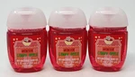 3 Bath Body Works Winter Candy Apple Pocketbac Anti Bacterial Hand Gel Sanitizer. Fixed Price $9.99.