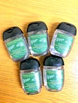 Bath & Body Works Aromatherapy Eucalyptus Spearmint Hand Sanitizer 1oz (qty 5). Fixed Price $14.92.