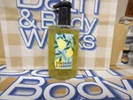 Bath & Body Works Sunshine Lemons Anti-bacterial Hand Gel Sanitizer 7.6 Fl Oz. Fixed Price $7.50.