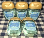 5-pack All New Fresh Rainfall Pocketbac Sanitizers 1 Oz Bath & Body Works. Fixed Price $26.00.