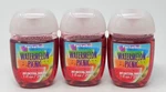 3 Bath Body Works Watermelon Picnic Pocketbac Anti Bacterial Hand Gel Sanitizer. Fixed Price $24.99.