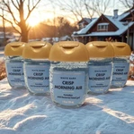 New 5 Pk Crisp Morning Air 1oz Pocketbac Hand Sanitizers Bath & Body Works. Fixed Price $20.50.