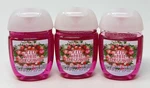 3 Rare Bath & Body Works Iced White Pomegranate Pocketbac Hand Gel Sanitizer. Fixed Price $14.99.