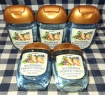 5-pack All New Wildberry French Toast Pocketbac Sanitizer 1 Oz Bath & Body Works. Fixed Price $26.00.