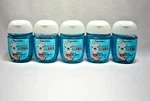 5 Icy Apple Anti-bacterial Hand Gel Bath & Body Works 1 Fl Oz. Fixed Price $7.99.