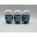 Bath & Body Works Crisp Morning Air Pocketbac Hand Sanitizer Pack Of 3. Fixed Price $15.00.
