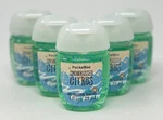 5 Bath & Body Works Snowkissed Citrus Pocketbac Anti Bacterial Hand Gel Sanitize. Fixed Price $24.99.