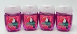 4 Bath & Body Works Watermelon Lemonade Pocketbac Anti Bacterial Hand Gel Toucan. Fixed Price $24.99.