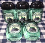 5-pack New Candy Apple Cauldron Pocketbac Sanitizers 1 Oz Bath & Body Works. Fixed Price $26.00.