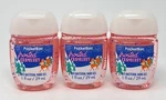 3 Bath Body Works Frosted Cranberry Pocketbac Anti Bacterial Hand Gel Sanitizer. Fixed Price $11.99.