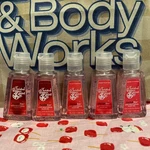 (5) Twisted Peppermint Pocketbac Anti Bacterial Hand Gel Bath & Body Works. Fixed Price $21.99.