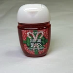 Bath & Body Works Pocketbac Anti-bacterial Hand Gel 1 Oz Candy Cane Bliss. Fixed Price $10.00.