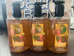 All New Pumpkin Apple Pump Anti-bacterial Sanitizer 7.6 Oz Bath & Body Works. Fixed Price $39.99.