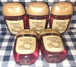 All New 5-pack Raspberry Tangerine Pocketbac Sanitizers 1 Oz Bath & Body Works. Fixed Price $26.00.